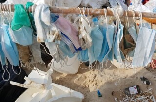 Сотни людей посетили Всемирный день уборки пляжей