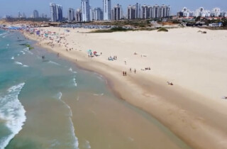 Защитники природы организовывают образовательный проект на пляже Полег