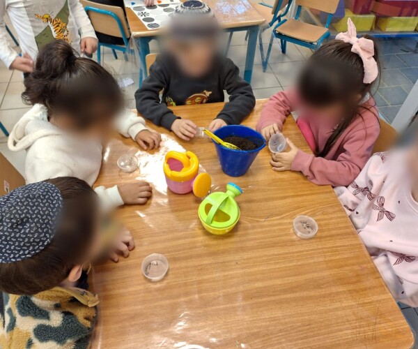 В Нетании стартовал проект «Здоровые корни»